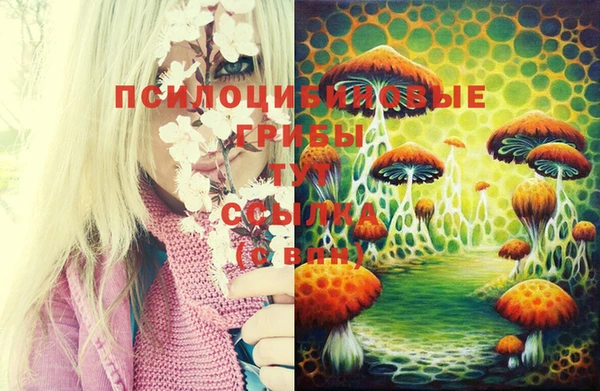 кристаллы Белокуриха